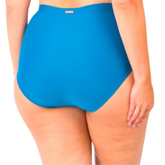 Raisins Curve Full Coverage Costa Plus Size Bikini Swim Bottom New - Picture 2 of 5